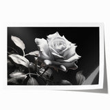 Botanical rose design wall art print featuring delicate pink and cream roses with lush green leaves, rolled for easy shipping and display, ideal for home décor.