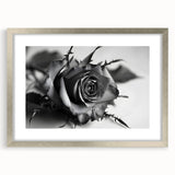 Botanical rose wall art collection framed in a silver mat, showcasing elegant floral designs with intricate details, perfect for enhancing home decor.