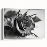 Framed canvas wall art showcasing a botanical rose design in soft pastel colors, elegantly displayed against a white background, perfect for home decor.