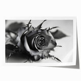 Botanical rose wall art print featuring delicate pink and white flowers on a soft green background, ideal for home decor or floral-themed spaces.