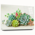 Botanical wall art collection showcasing vibrant succulents, designed with acrylic glass and side view pins for easy display, perfect for enhancing home decor.