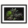 Botanical wall art collection featuring a framed print of vibrant succulents in a black frame with a mat, ideal for modern home decor and plant enthusiasts.