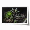 Botanical wall art print showcasing a vibrant collection of colorful succulents in a modern design, perfect for home decor or office styling.