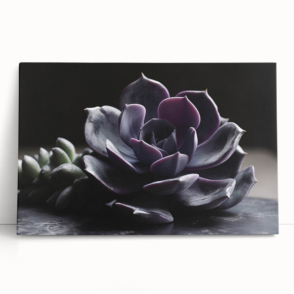 Vibrant botanical wall art featuring a variety of lush succulents, elegantly displayed on a stretched canvas with a modern design, perfect for home decor and nature enthusiasts.