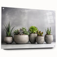 Botanical wall art collection featuring a side view of acrylic glass display with colorful succulent designs, pinned to a white wall background, ideal for modern decor.