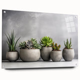 Botanical wall art collection featuring a side view of acrylic glass display with colorful succulent designs, pinned to a white wall background, ideal for modern decor.
