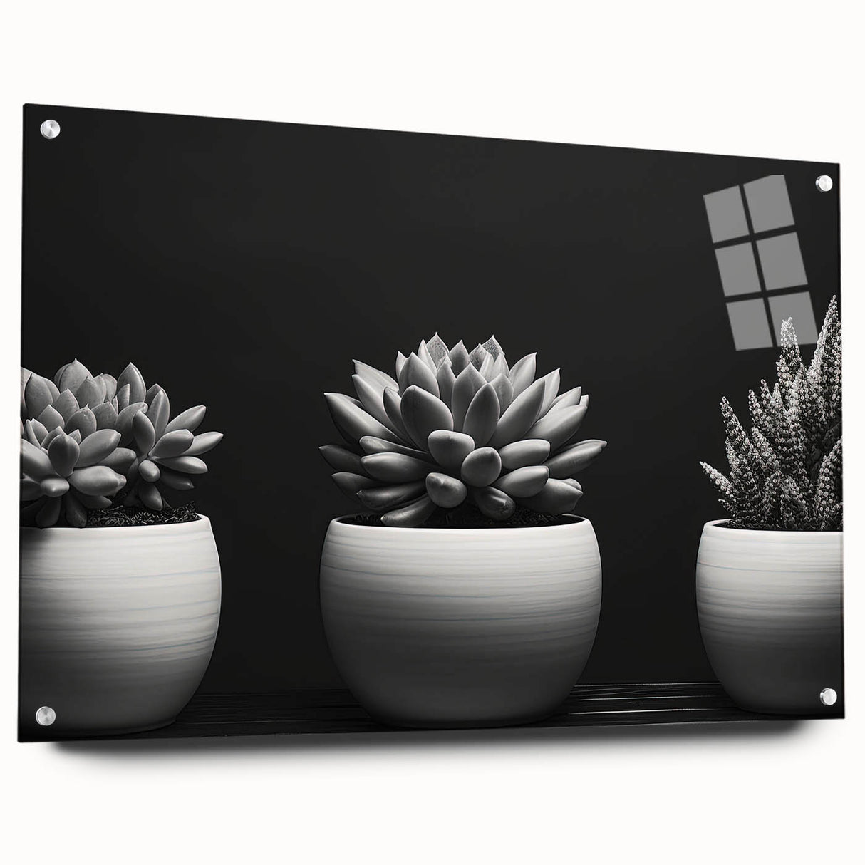 Side view of a botanical wall art piece showcasing vibrant succulent designs on acrylic glass, complemented by decorative pins for easy hanging, ideal for home decor.