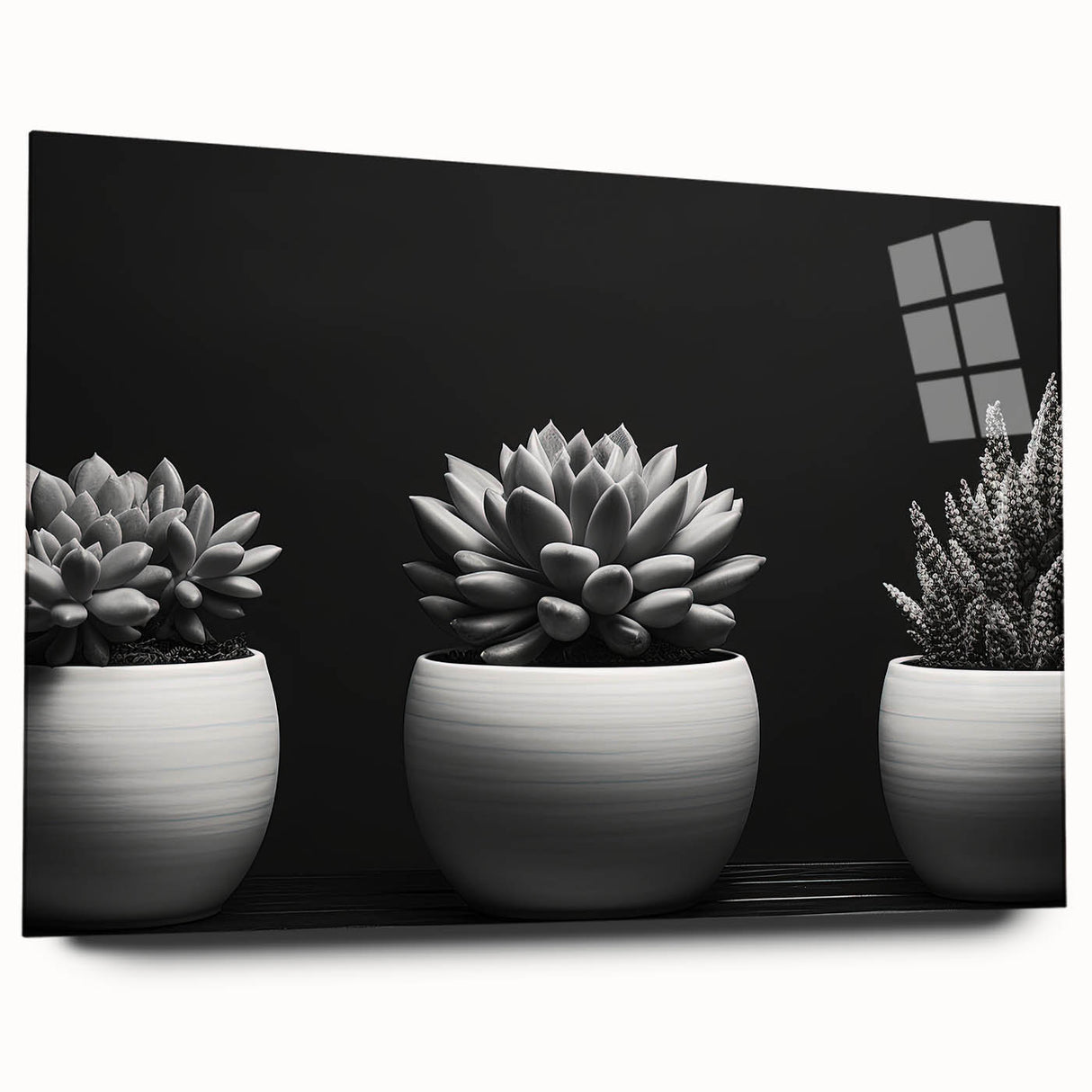 Botanical wall art featuring a stunning collection of succulents in vibrant colors, displayed in a sleek acrylic glass frame, showcasing intricate details and textures.