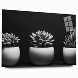 Botanical wall art featuring a stunning collection of succulents in vibrant colors, displayed in a sleek acrylic glass frame, showcasing intricate details and textures.
