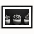 Botanical wall art featuring a vibrant collection of succulent illustrations in an elegant black frame with a mat, perfect for modern home decor.