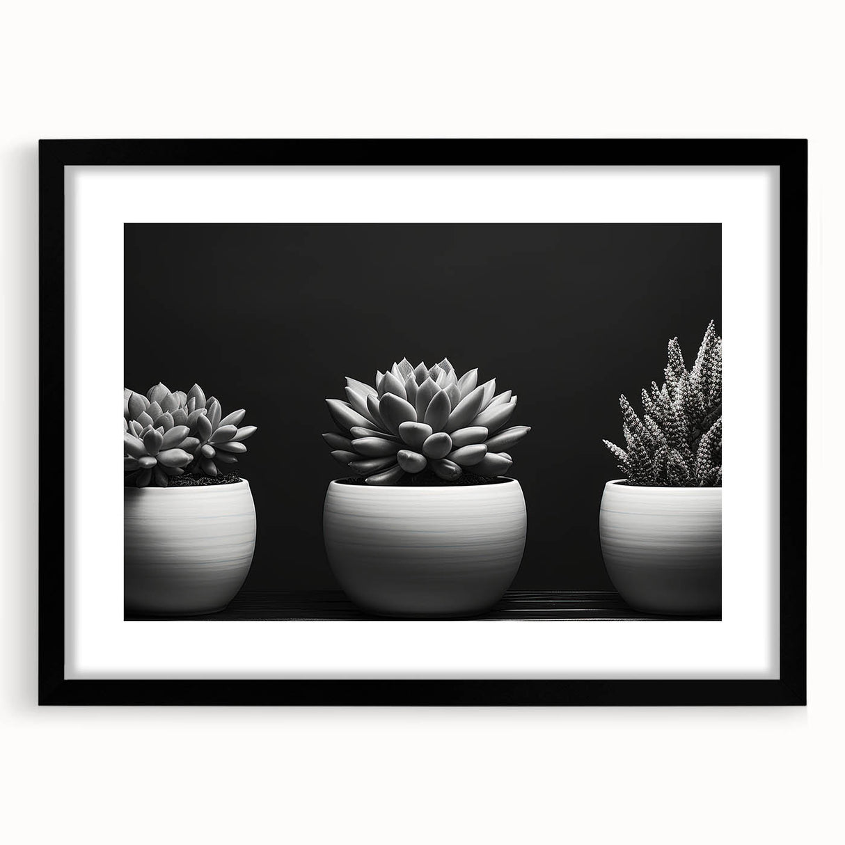 Botanical wall art featuring a vibrant collection of succulent illustrations in an elegant black frame with a mat, perfect for modern home decor.