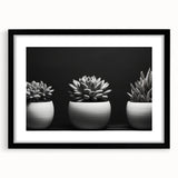 Botanical wall art featuring a vibrant collection of succulent illustrations in an elegant black frame with a mat, perfect for modern home decor.