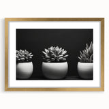 Beautiful botanical wall art featuring a collection of colorful succulents in a gold-framed design with a mat, perfect for enhancing home decor and adding a touch of nature.