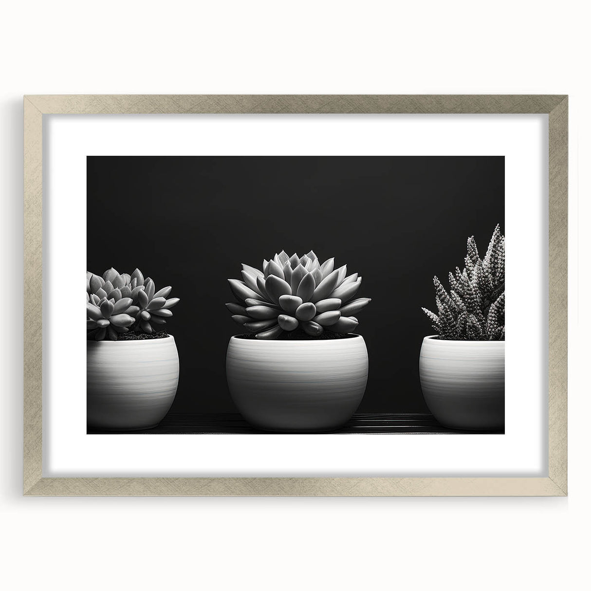 Botanical wall art collection featuring a silver-framed design of vibrant succulents and flowers, accented with a white mat, ideal for modern decor.