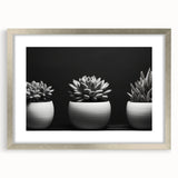 Botanical wall art collection featuring a silver-framed design of vibrant succulents and flowers, accented with a white mat, ideal for modern decor.