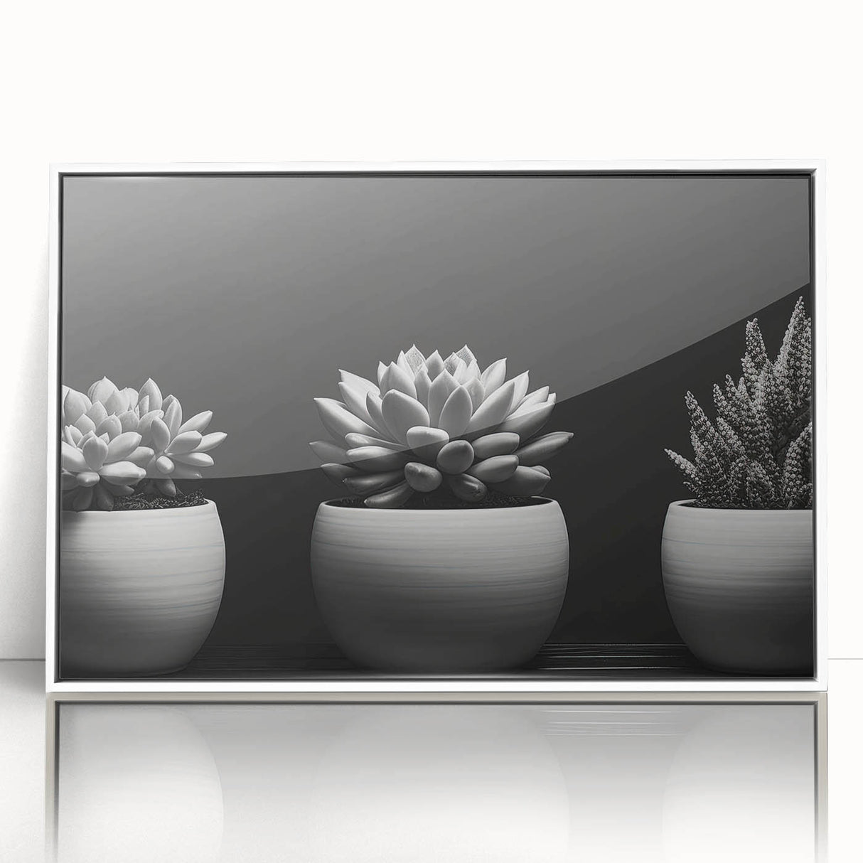 Framed wall art featuring a colorful botanical design of succulents and flowers in a white frame, perfect for enhancing modern home decor.