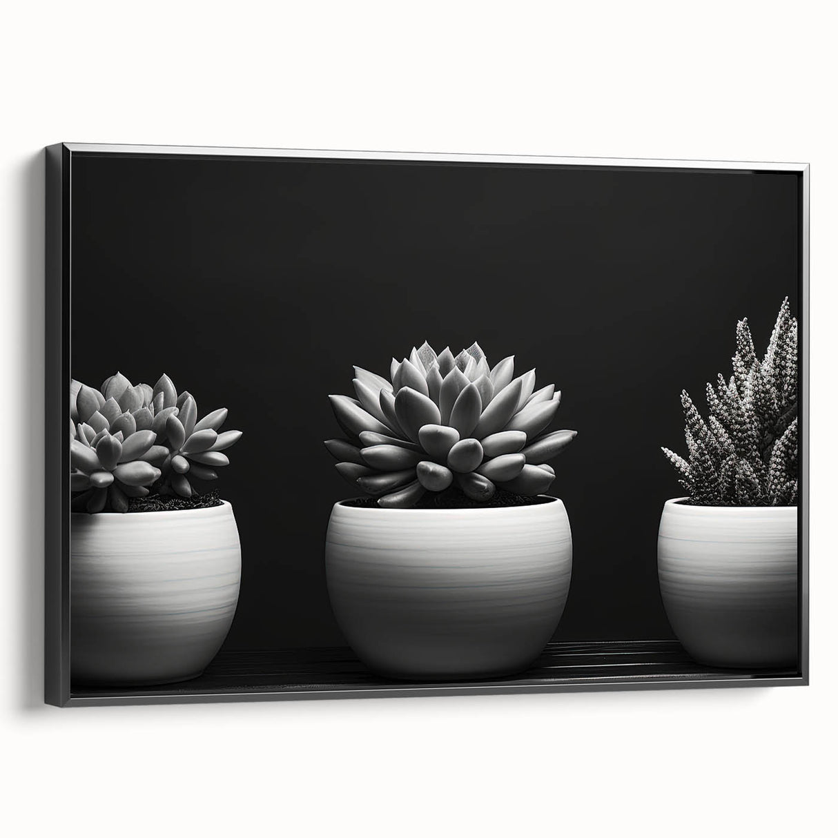 Framed botanical wall art showcasing a vibrant collection of succulent designs in a sleek black frame, perfect for home decor and nature enthusiasts.