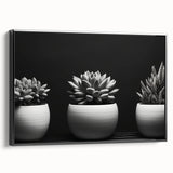 Framed botanical wall art showcasing a vibrant collection of succulent designs in a sleek black frame, perfect for home decor and nature enthusiasts.