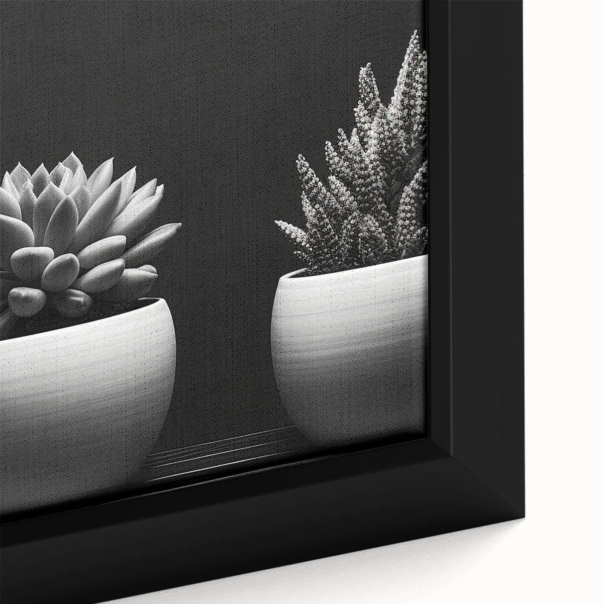 Close-up of a beautifully framed botanical wall art canvas featuring an array of vibrant succulents in shades of green and pink, perfect for home decor.