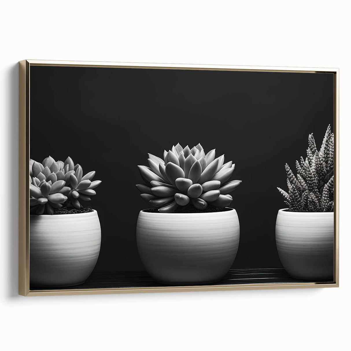 Framed canvas wall art featuring a botanical design of various succulents in vibrant colors, set against a gold background, showcasing a stylish side view.