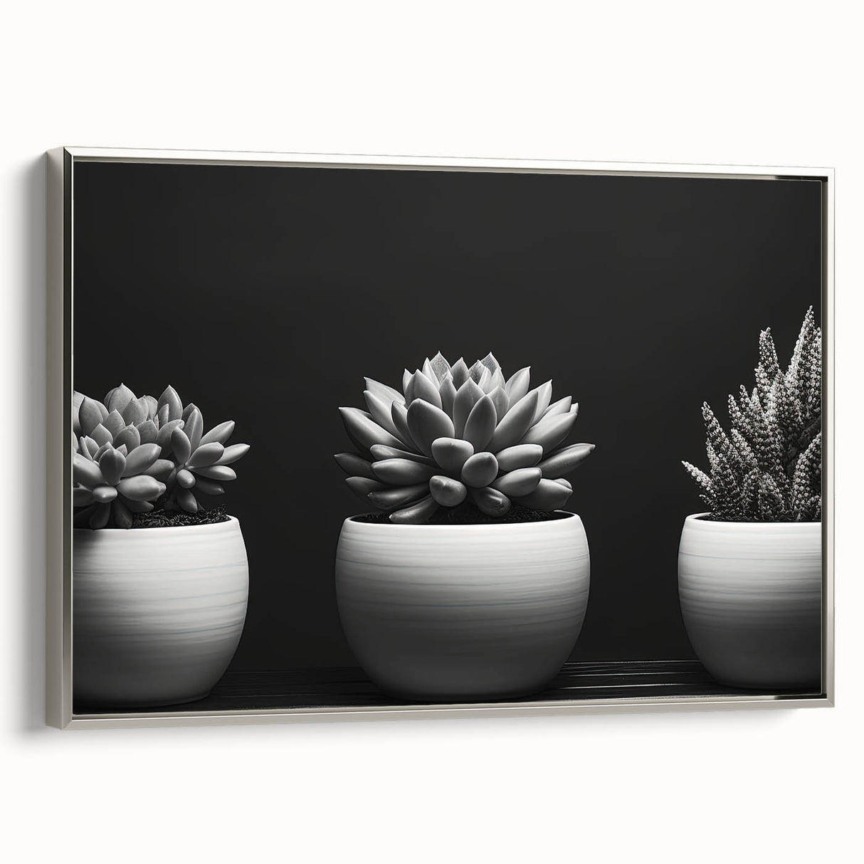 Framed canvas wall art showcasing a stunning botanical design of vibrant succulents, featuring a sleek silver frame, perfect for modern home decor.
