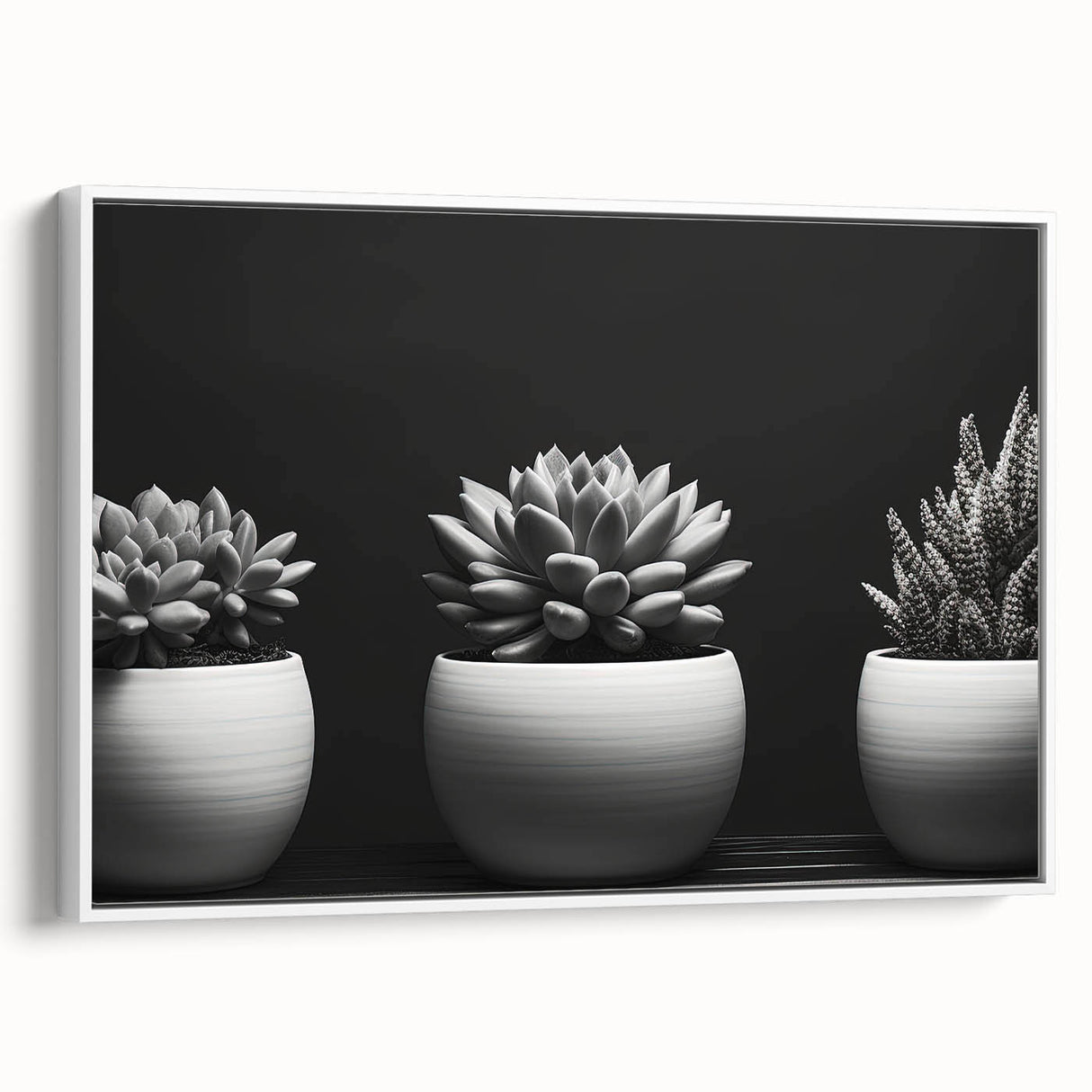 Framed botanical wall art featuring an elegant arrangement of colorful succulents on a white background, showcasing intricate details and vibrant hues, ideal for home decor.