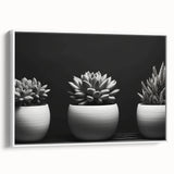 Framed botanical wall art featuring an elegant arrangement of colorful succulents on a white background, showcasing intricate details and vibrant hues, ideal for home decor.