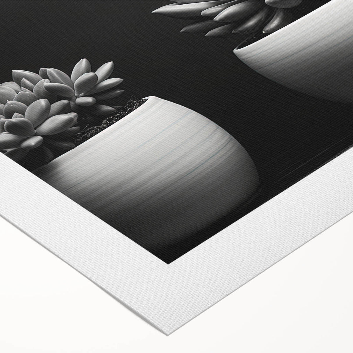 Vibrant wall art featuring an intricate design of various botanical succulents, printed on rolled canvas, perfect for adding a touch of nature to any space.