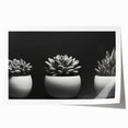 Botanical wall art print featuring a vibrant collection of assorted succulents in various hues of green and pink, elegantly rolled for easy display and storage.