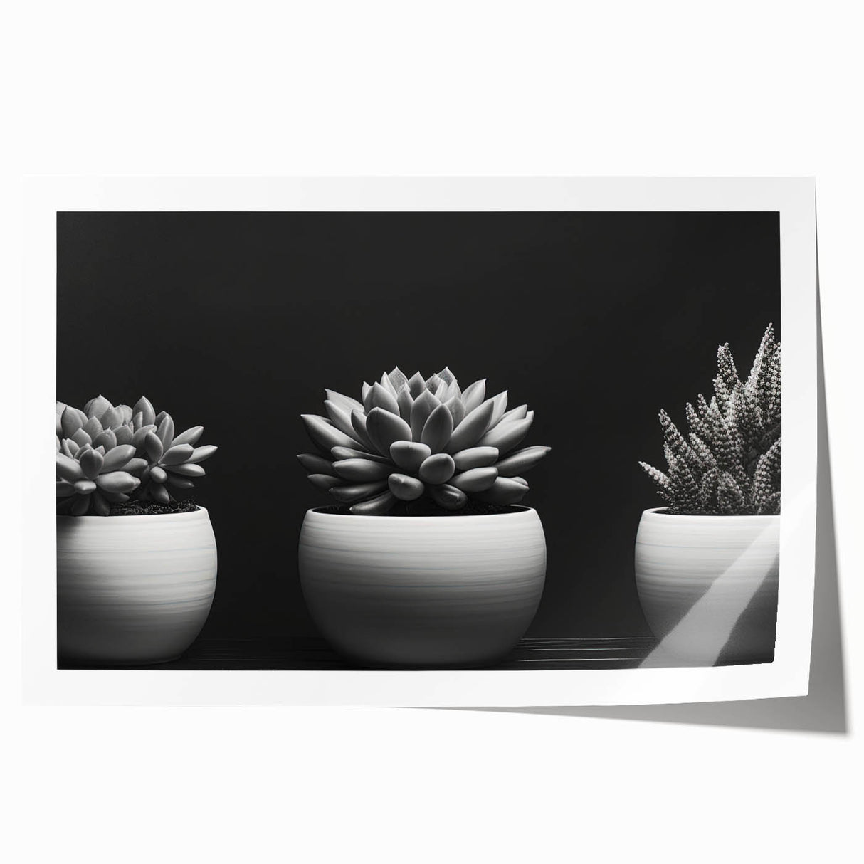 Botanical wall art print featuring a vibrant collection of assorted succulents in various hues of green and pink, elegantly rolled for easy display and storage.