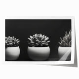 Botanical wall art print featuring a vibrant collection of assorted succulents in various hues of green and pink, elegantly rolled for easy display and storage.