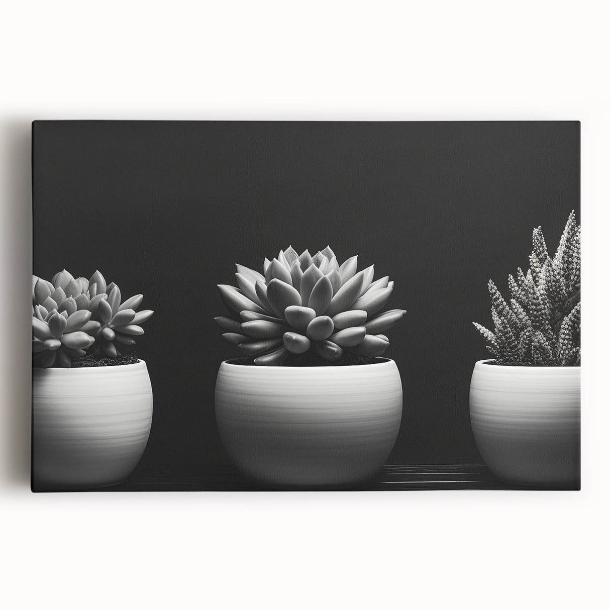 Colorful botanical wall art featuring a collection of succulents on stretched canvas, showcasing intricate details and vibrant hues against a neutral background, perfect for home decor.