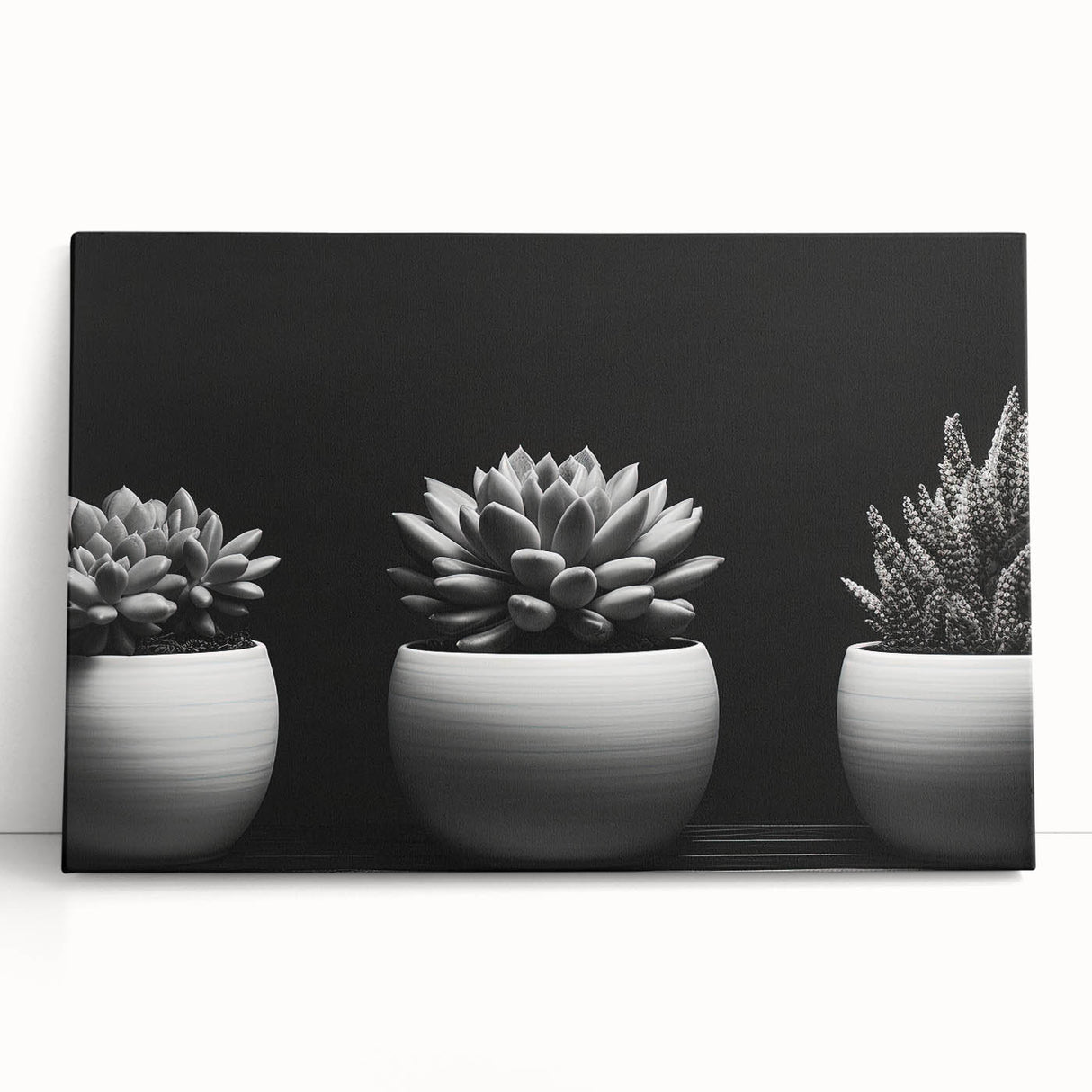 Botanical wall art collection showcasing vibrant succulents in various shades of green, elegantly displayed on stretched canvas, leaning against a textured wall.
