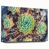 Botanical wall art collection featuring vibrant succulent designs in an acrylic glass frame, showcasing a side view with decorative pins for display. Perfect for home decor enthusiasts seeking nature-inspired artwork.