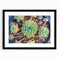 Botanical wall art collection showcasing vibrant floral and succulent designs in a sleek black frame with matting, perfect for modern home decor.