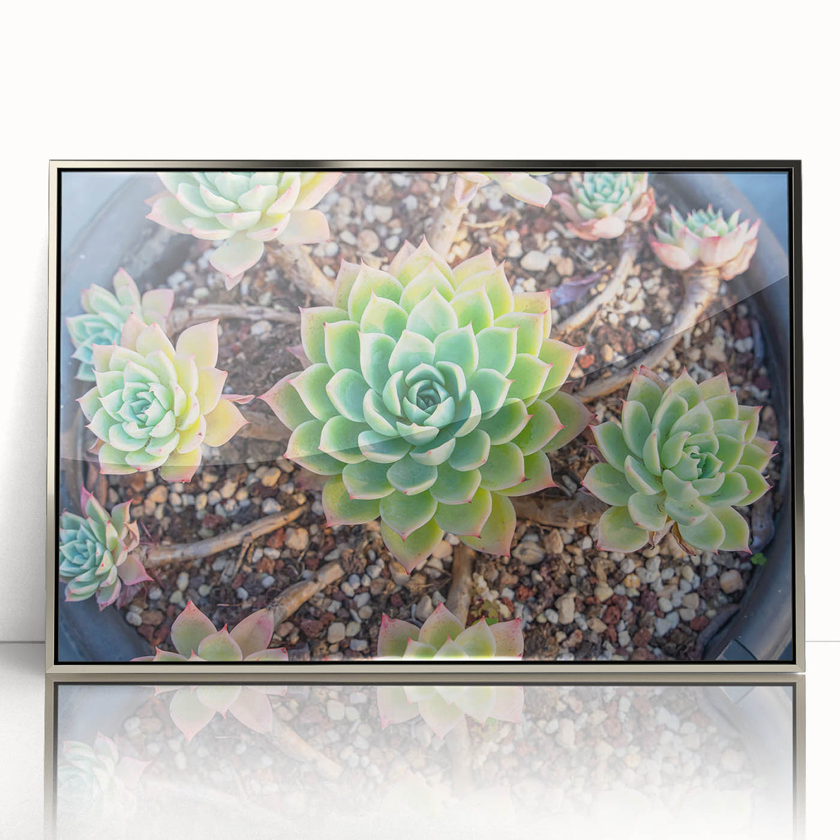 Framed wall art featuring a botanical design of vibrant succulents, set in an elegant silver frame, showcasing intricate details and rich colors, perfect for home decor.