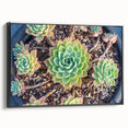 Framed wall art featuring a botanical design of colorful succulents on a black background, showcasing a modern aesthetic ideal for home decor.