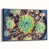 Framed wall art featuring a botanical design of colorful succulents on a black background, showcasing a modern aesthetic ideal for home decor.