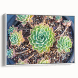 Framed botanical wall art collection featuring vibrant succulents and flowers on a white background, showcasing a stylish side view suitable for modern decor.