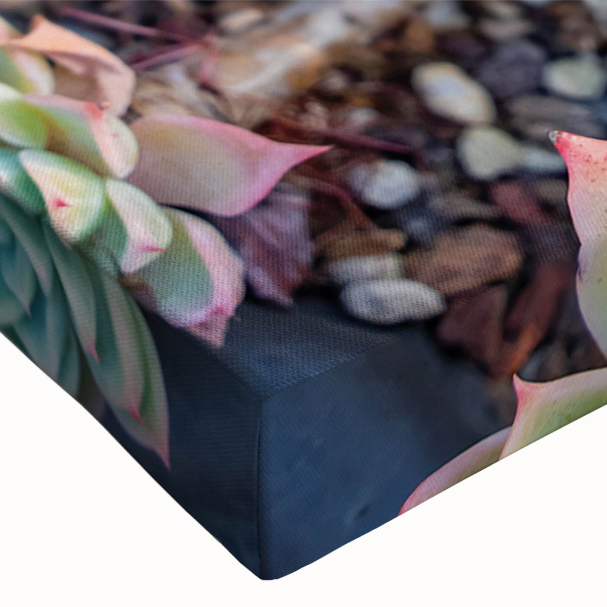 Close-up of a vibrant botanical wall art design featuring assorted succulents in rich greens and earthy tones, printed on stretched canvas for home decor enhancement.