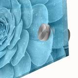 Close-up of a vibrant botanical wall art collection featuring colorful succulents displayed on acrylic glass, perfect for home decor enthusiasts seeking nature-inspired designs.