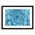Botanical wall art collection featuring vibrant succulent illustrations framed in black with a mat, ideal for home decor and plant enthusiasts. Perfect for adding a touch of nature to any space.