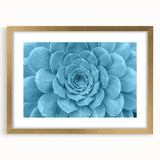 Framed botanical wall art collection featuring vibrant succulents in a gold frame with a mat, perfect for adding a touch of nature to home decor.