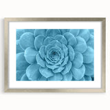 Framed botanical wall art collection featuring colorful succulents and flowers, elegantly displayed in a silver frame with a white mat, ideal for home decor.