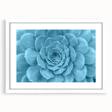 Botanical wall art collection showcasing vibrant floral and succulent designs in a white frame with a mat, perfect for home decor and enhancing interior aesthetics.