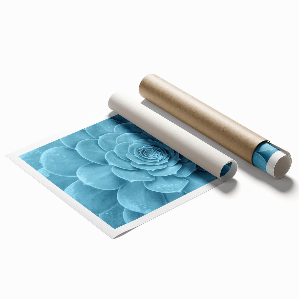 Botanical wall art print featuring a vibrant arrangement of colorful succulents and flowers on a textured background, ideal for home decor and nature enthusiasts.