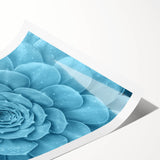 Botanical wall art print showcasing a vibrant collection of succulent illustrations in various colors, ideal for home décor or nature-themed interior design.