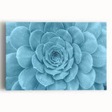 Vibrant botanical wall art featuring an assortment of colorful succulents on stretched canvas, ideal for home decor and enhancing indoor aesthetics.