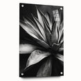 Acrylic glass wall art showcasing a vibrant collection of botanical succulents, featuring intricate floral designs and a sleek side view with pins for easy display.