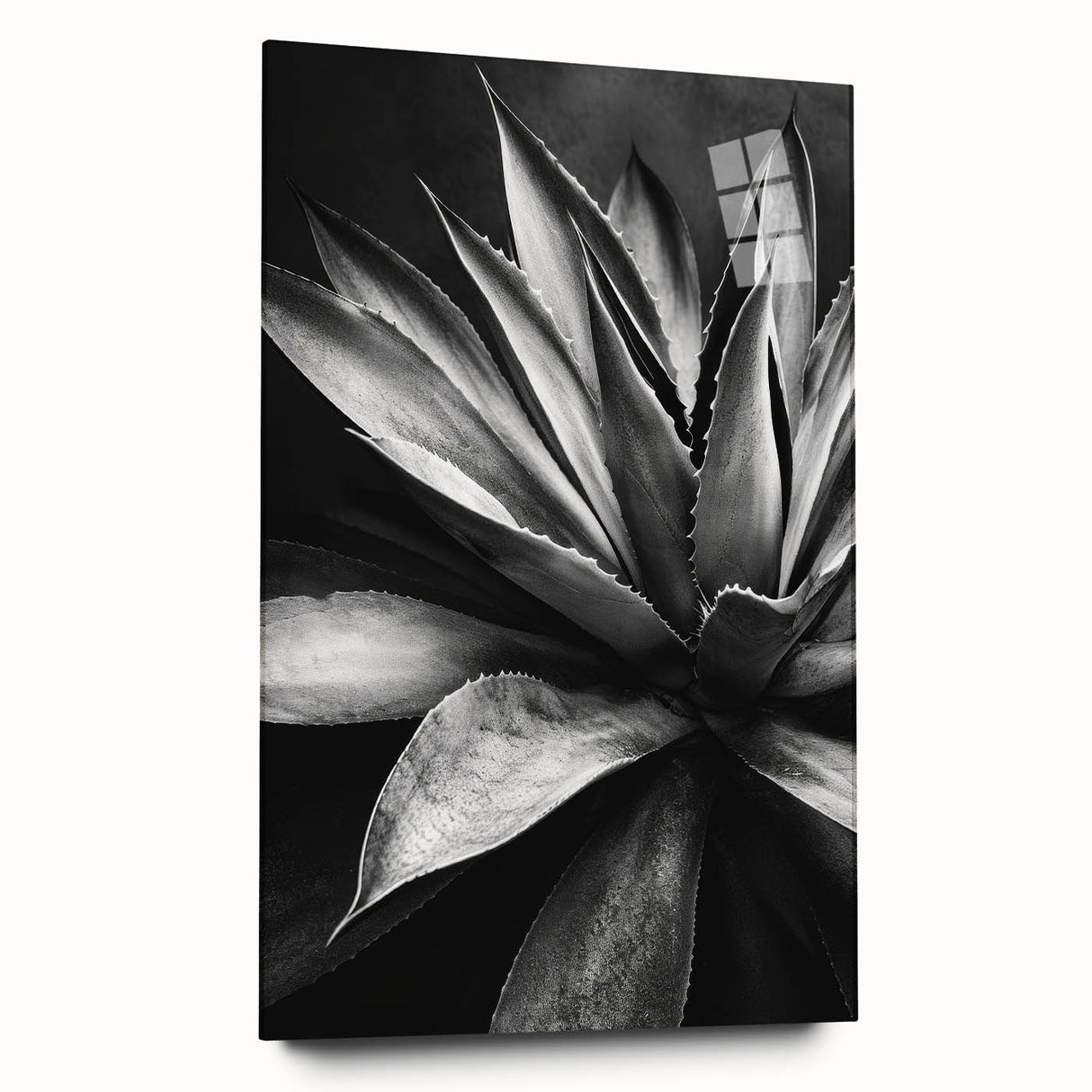 Acrylic glass wall art collection showcasing a botanical design of vibrant succulents, viewed from the side, ideal for modern home decor and nature enthusiasts.